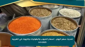 تحديث سعر اليوم.. أسعار الحبوب والبقوليات والزيوت في الغربية 6-9-2025